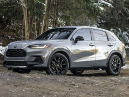 Article_174339_860_575