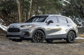 Article_174339_860_575