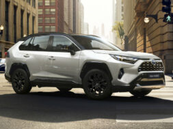 Article_174392_860_575