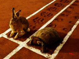 10687379345_555c9954a1_b