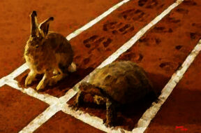 10687379345_555c9954a1_b