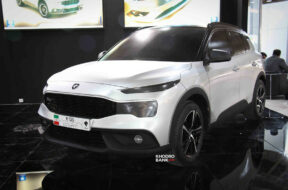 Article_174620_860_575