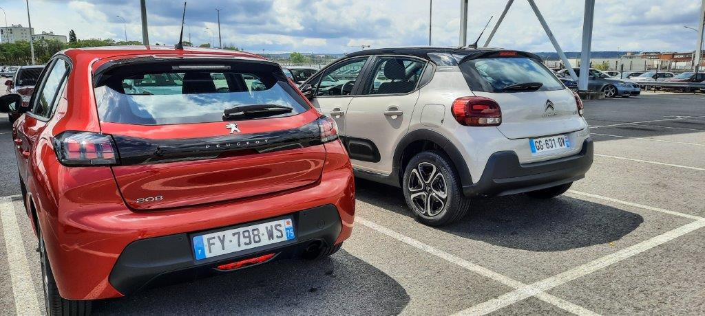 Koji je omiljeni automobilski brend u Francuskoj?