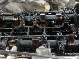 287e28es-1920.jpg.740x555_q85_box-243,0,1685,1079_crop_detail_upscale