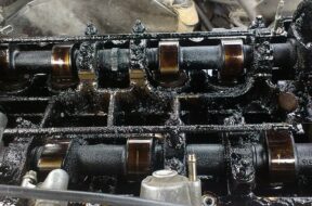 287e28es-1920.jpg.740x555_q85_box-243,0,1685,1079_crop_detail_upscale