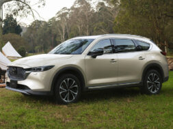 Article_174880_860_575