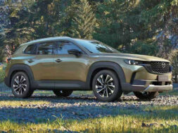 Article_175037_860_575