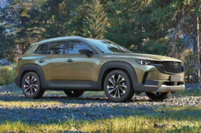 Article_175037_860_575