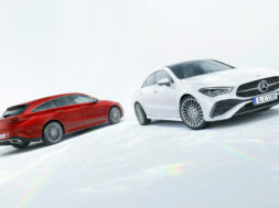 Article_175145_860_575