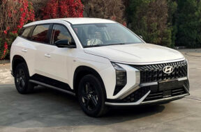 Article_175230_860_575