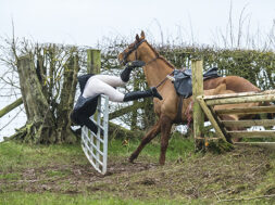 Clifton on Teme hunt 30 12 2015