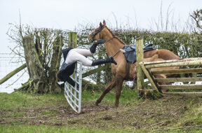 Clifton on Teme hunt 30 12 2015