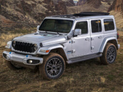 Article_175419_860_575