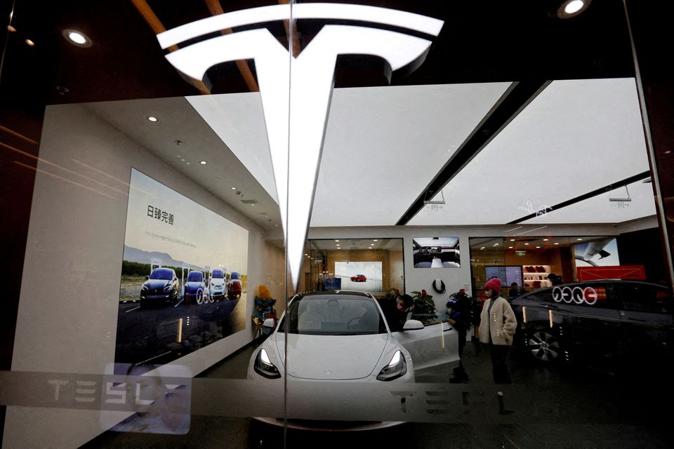 Za razliku od svih, Tesla neće insistirati na visokoj stopi profita već na obimu prodaje