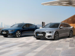 Article_175610_860_575