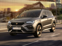 Article_175691_860_575