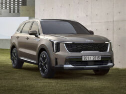 Article_175779_860_575