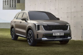 Article_175779_860_575