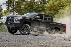 Article_175780_860_575