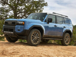 Article_175788_860_575