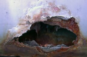 rjavchina_1_ifeng_com.jpeg.740x555_q85_box-0,0,1080,810_crop_detail_upscale