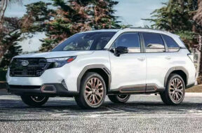 Article_176091_860_575