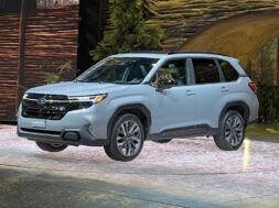 Article_176107_860_575