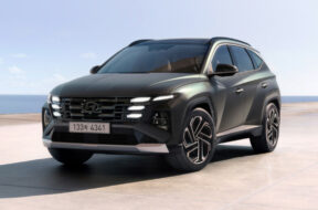 Article_176118_860_575