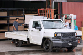 Article_176136_860_575