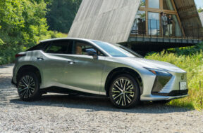 Article_176163_860_575