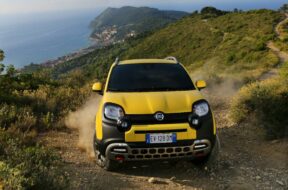 Fiat-Panda-Cross-2014-chemin-bd