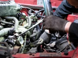 c128bcc6-d4ec-47e9-93c2-2811757b591d_w920_r1.778_fpx44_fpy50