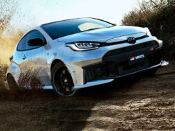 Article_176264_860_575