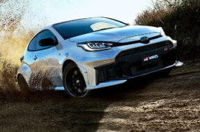 Article_176264_860_575