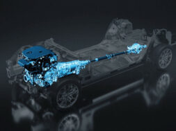 Article_176294_860_575