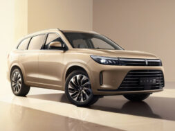 Article_176296_860_575