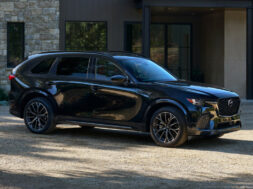 Article_176324_860_575