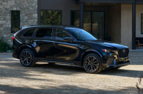 Article_176324_860_575