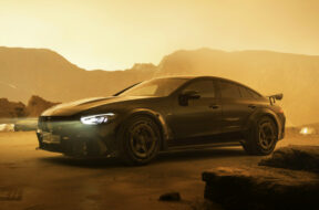 Article_176394_860_575