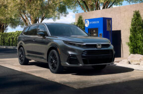 Article_176430_860_575