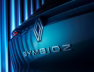 symbioz