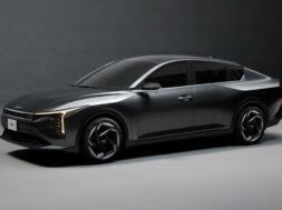 Article_176516_860_575