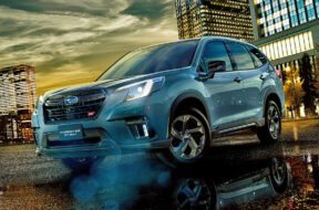 Article_176617_860_575