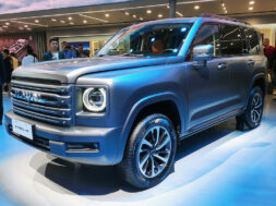 Article_176690_860_575