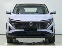 Article_176883_860_575