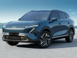 Article_176939_860_575