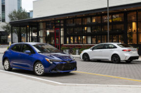 Article_176972_860_575