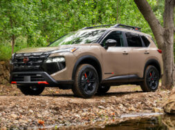 Article_176997_860_575