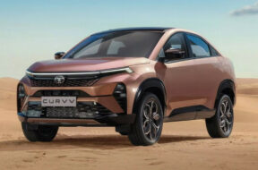 Article_177053_860_575