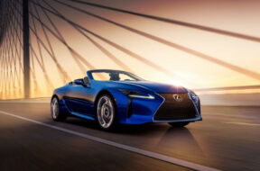 Article_177193_860_575